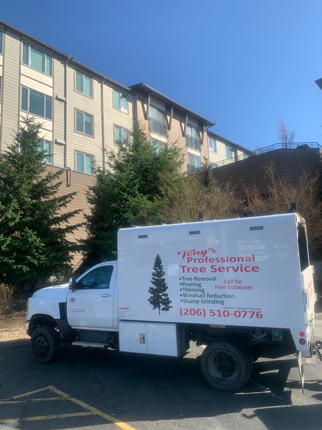 picture of a Truck with the logo Tonys professional tree service