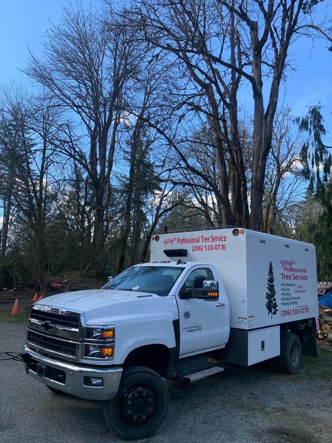picture of truck used by Tonys professional tree service