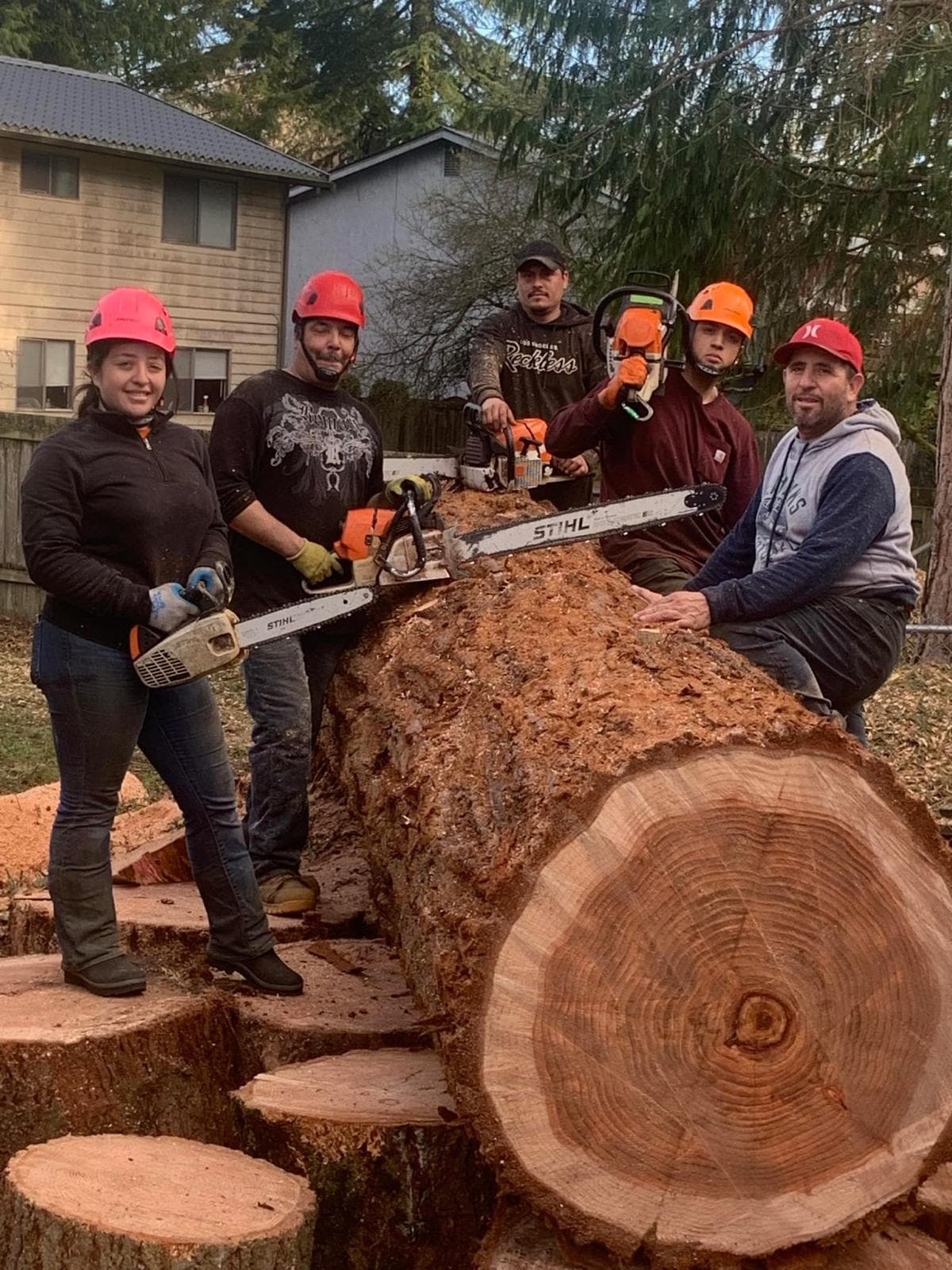 picture of a team of arborists and tree fellers in seattle washington